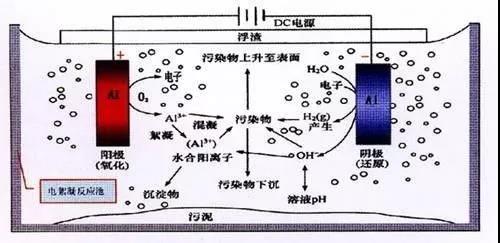 我買(mǎi)了一個(gè)甲醛檢測(cè)儀，吹口氣后發(fā)現(xiàn)原來(lái)我才是“地表最強(qiáng)”污染源！