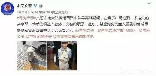 有問(wèn)題找警察，薩摩耶派出所報(bào)案，不注意這件事，對(duì)狗狗致命，警察蜀黍卻幫不上忙！