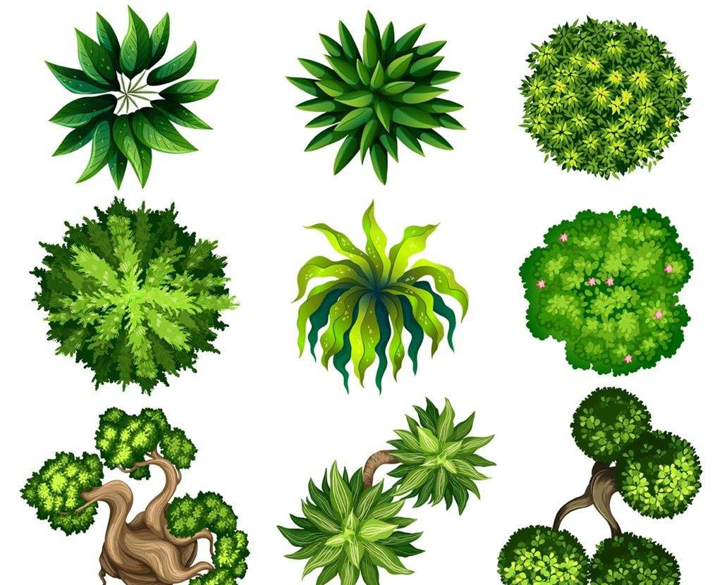 可以凈化室內(nèi)空氣的植物，這二十種您需要好好了解一下！
