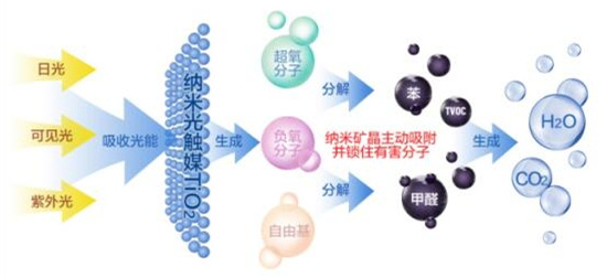 洋蔥可以除甲醛？民間流傳土方法可信嗎？