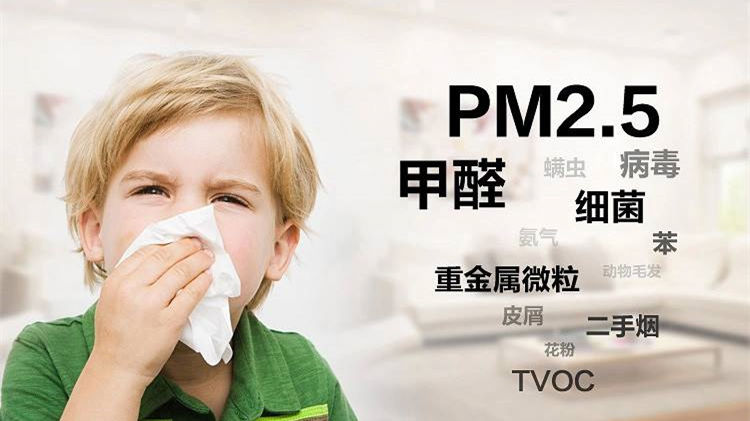 誰說二手車沒有甲醛？汽車除甲醛最有效方法告訴您