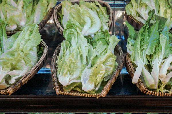 夏至高溫預(yù)警！消暑養(yǎng)生秘笈了解一下？