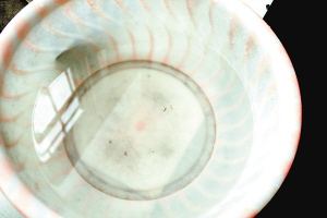 疫苗事件背后：您是否想過除甲醛產(chǎn)品也存在無效情況？