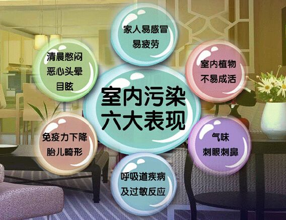 去甲醛加盟怎么樣？三點選址技巧讓您生意火爆