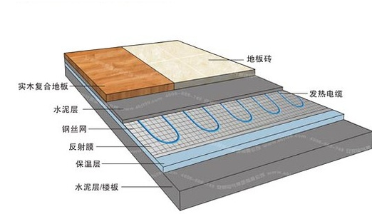 冬季，它們成了甲醛的幫兇
