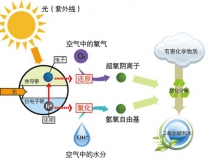 好的光觸媒甲醛治理產(chǎn)品需要具備什么核心？