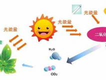 家中甲醛超標(biāo)，什么才是甲醛治理的正確姿勢？