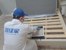 偏方真的能除甲醛嗎？