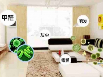 網(wǎng)上的除甲醛好辦法真的有效嗎？原理是什么