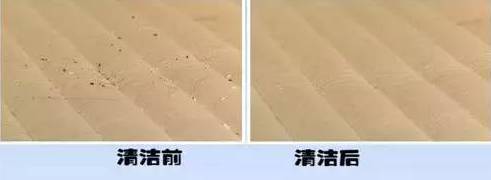 南京美女睡了10年的床墊，掀開后把全家人都嚇傻了……