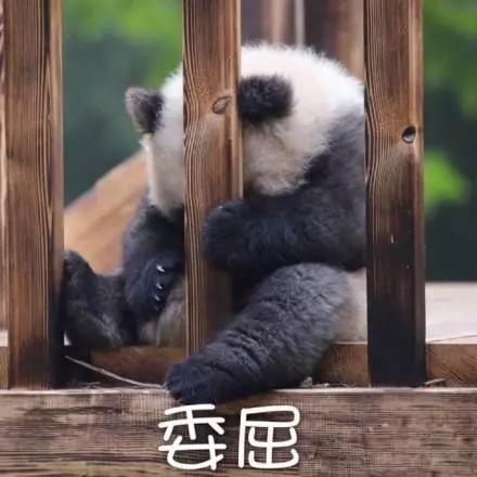 別大意！七大除甲醛“誤區(qū)”，信了你反而會生?。⊥L(fēng)、綠植、活性炭、熏蒸……你中招了嗎？