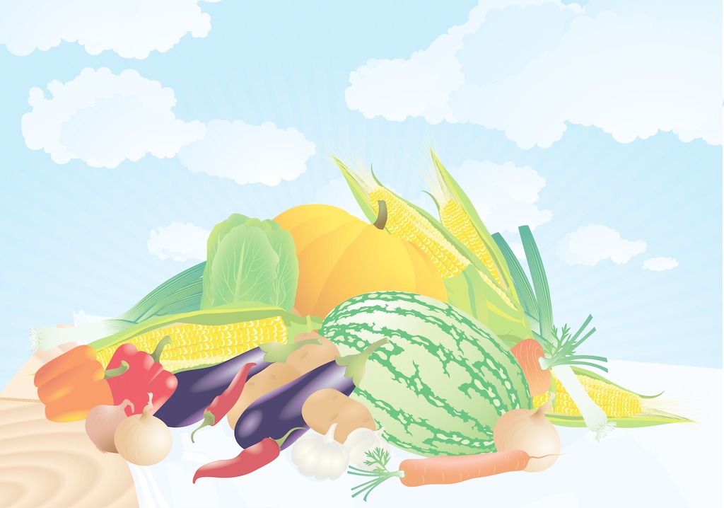 夏季找除甲醛公司有哪些需要注意的？