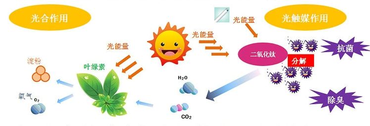 光觸媒去除房間甲醛爭(zhēng)議很大？